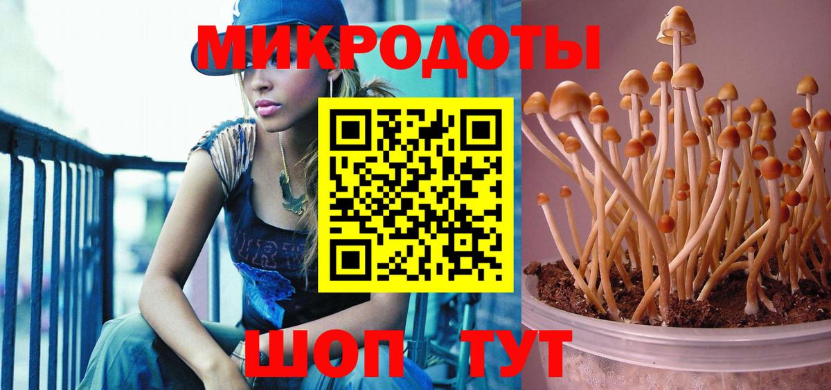 Сорочинск  Галлюциногенные грибы GOLDEN TEACHER  Вход с VPN 
